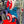 Load image into Gallery viewer, Calm x Hoobs Capt. America Burd