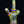 Load image into Gallery viewer, Sir Pyro Lime Green Pullstem Rig