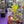 Load image into Gallery viewer, Jeff Green Recycler (yellow)
