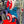 Load image into Gallery viewer, Calm x Hoobs Capt. America Burd
