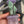 Load image into Gallery viewer, Mars Glass Flower Pot Pipe
